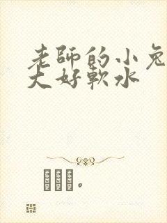 老师的小兔子好大好软水