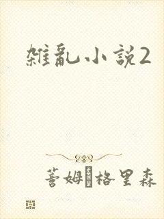 杂乱小说2