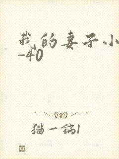 我的妻子小谨1-40
