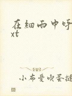 在细雨中呼喊txt