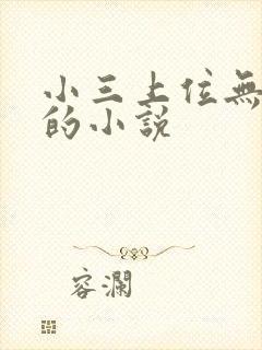 小三上位无三观的小说封面