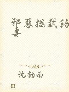邪恶总裁的娇宠妻