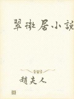 翠微居小说