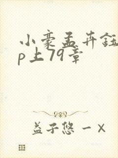 小豪孟卉钰慧三p上79章封面