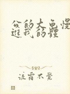 公的大龟慢慢挺进我的体