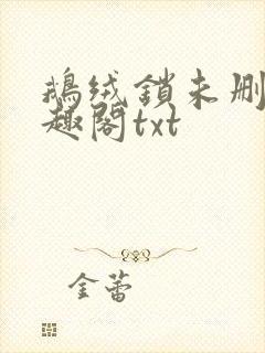 鹅绒锁未删除笔趣阁txt