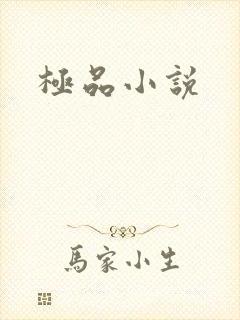 极品小说