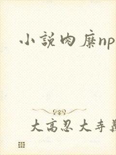 小说肉糜np