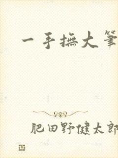 一手抚大笔趣阁