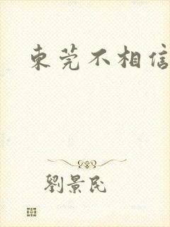 东莞不相信眼泪