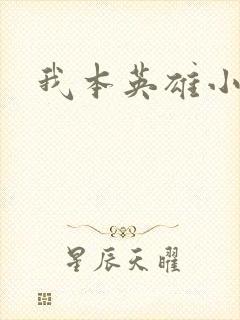 我本英雄小说封面