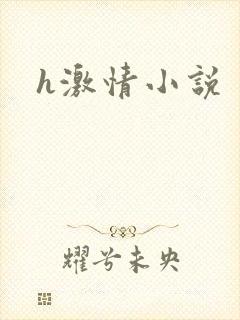 h激情小说