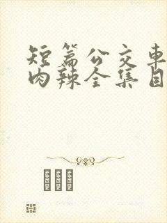 短篇公交车高h肉辣全集目录