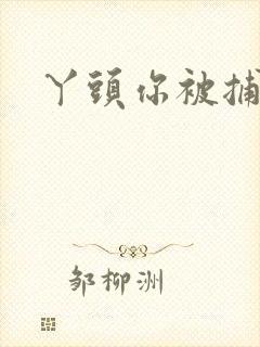 丫头你被捕了封面