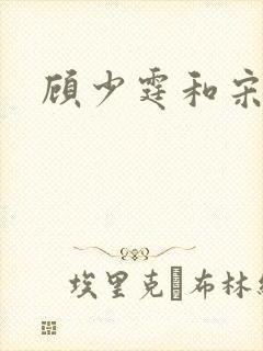 顾少霆和宋斯曼封面