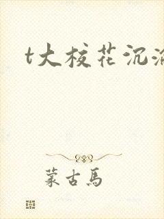 t大校花沉沦