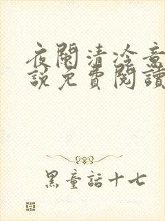夜阑清冷意欢小说免费阅读