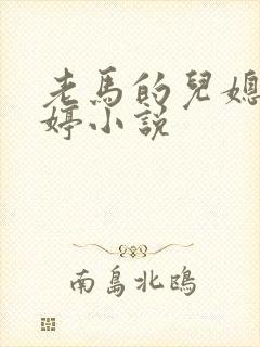 老马的儿媳顾婉婷小说