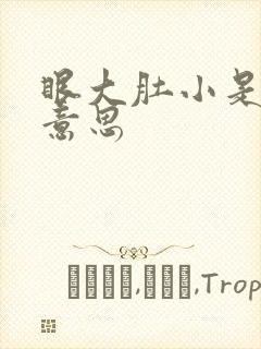 眼大肚小是什么意思