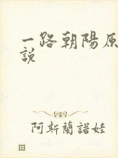 一路朝阳原著小说封面