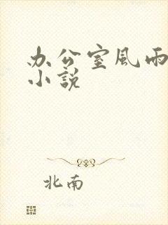 办公室风雨完整小说