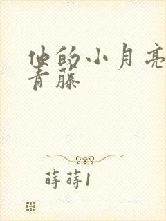 他的小月亮by青藤