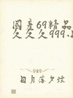 国产69精品久久久久999小说