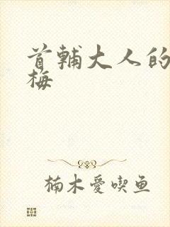 首辅大人的小青梅