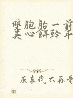 双胞胎一前一后夹心饼干年下