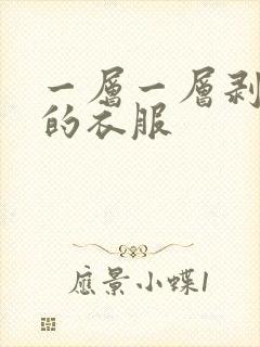 一层一层剥开你的衣服