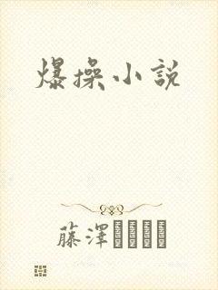 爆操小说封面