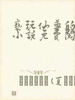 亵玩仙尊的道侣小说免费阅读