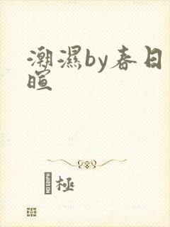 潮湿by春日负暄封面