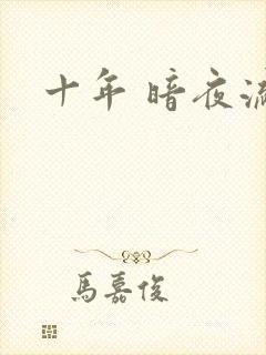 十年 暗夜流光