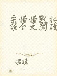 宋惜惜战北望小说全文阅读