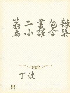 第二书包辣网短篇小说合集