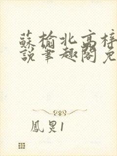 苏榆北高梓淇小说笔趣阁免费阅读封面