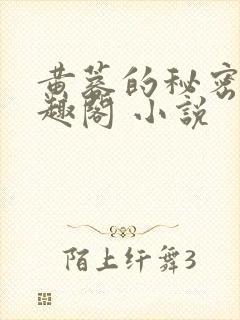 黄蓉的秘密 笔趣阁 小说