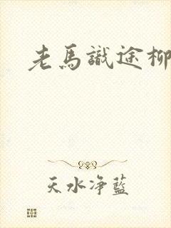 老马识途柳娇娇