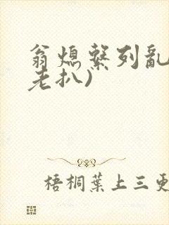 翁熄系列乱 (老扒)