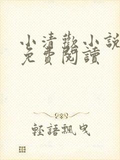 小清欢小说全文免费阅读