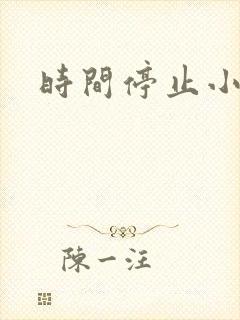 时间停止小说