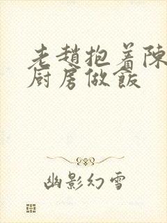 老赵抱着陈婷在厨房做饭封面