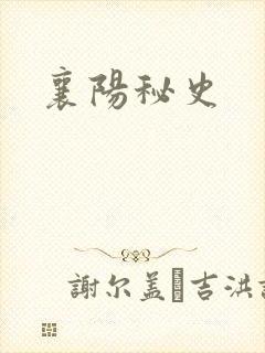 襄阳秘史