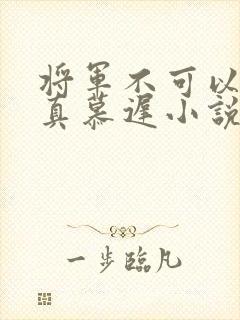 将军不可以魏云真慕迟小说笔趣阁