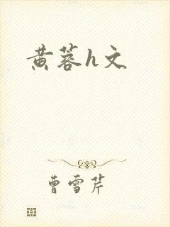 黄蓉h文封面