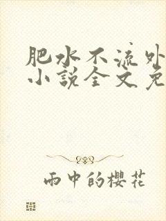 肥水不流外人田小说全文免费阅读1封面