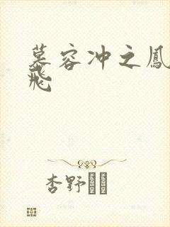 慕容冲之凤凰于飞封面