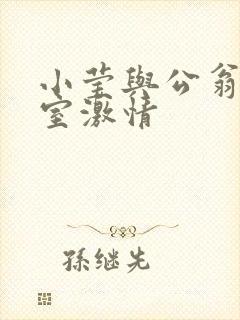 小莹与公翁办公室激情