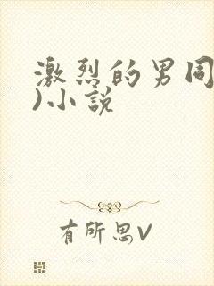 激烈的男同(h)小说